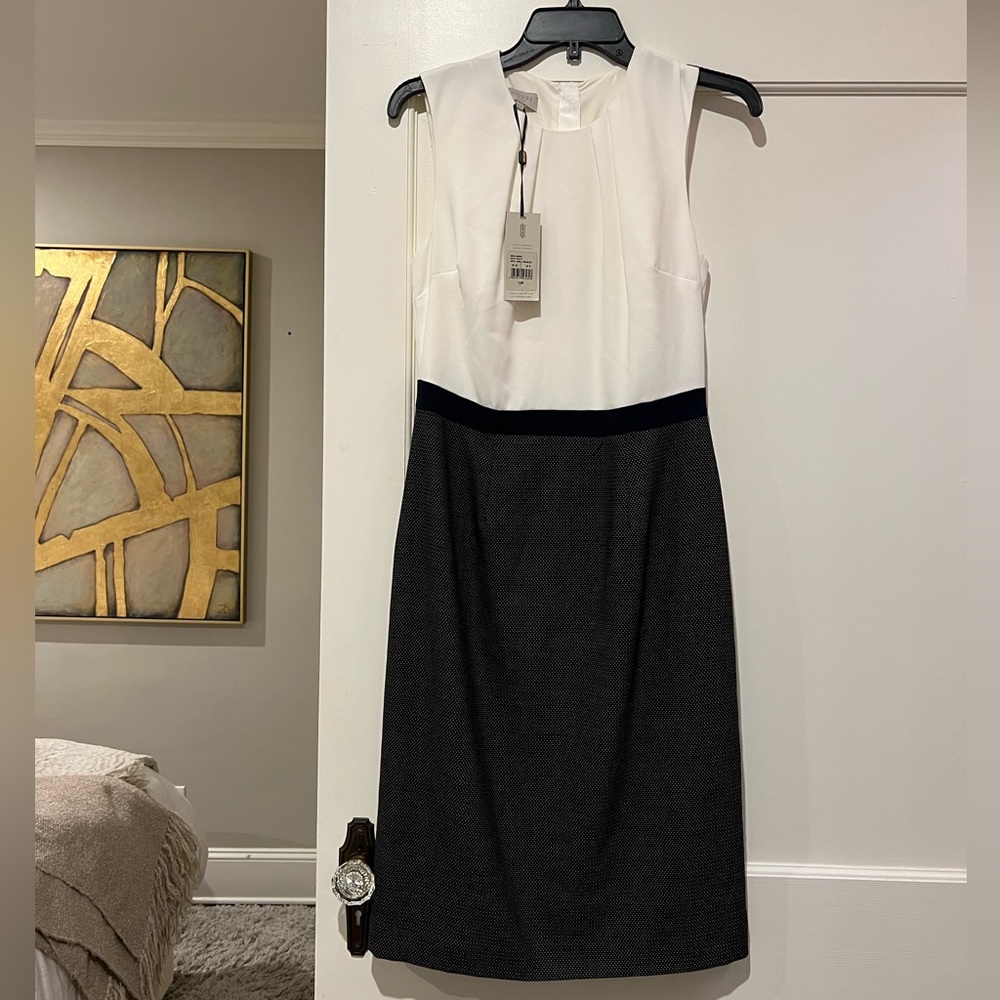 Hobbs professional work dress